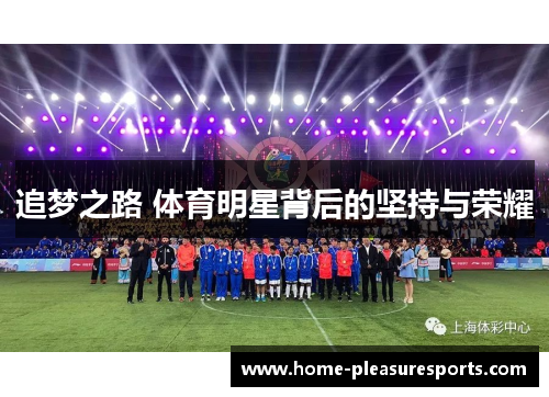 追梦之路 体育明星背后的坚持与荣耀