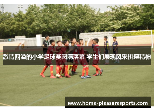 激情四溢的小学足球赛圆满落幕 学生们展现风采拼搏精神
